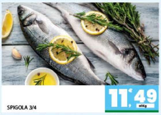 Spigola 3/4