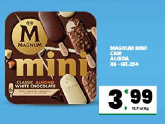 MAGNUM MINI