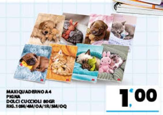 MAXI QUADERNO A4