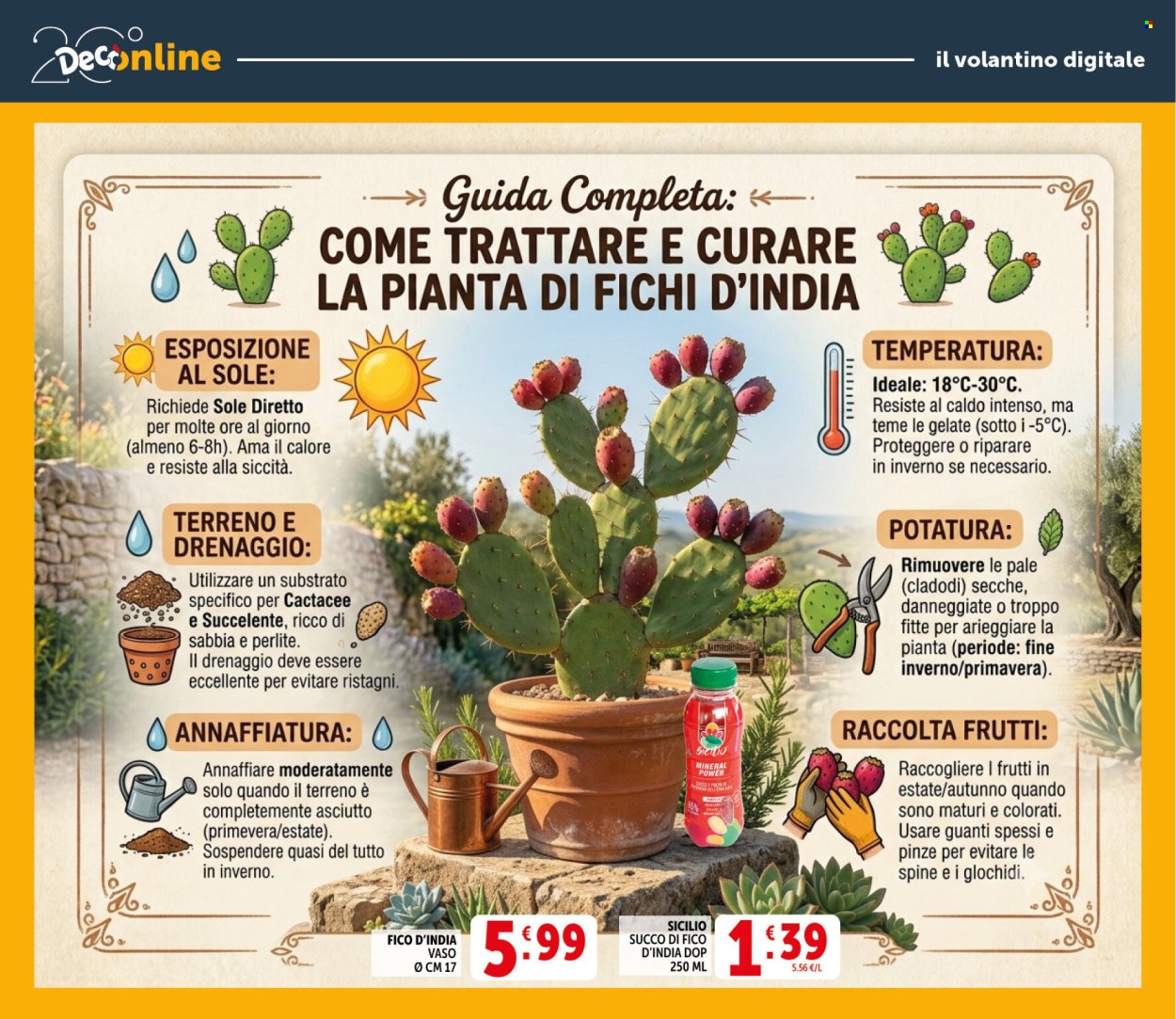 Volantino Deco - 21/8/2026 - 31/8/2026. Pagina 31