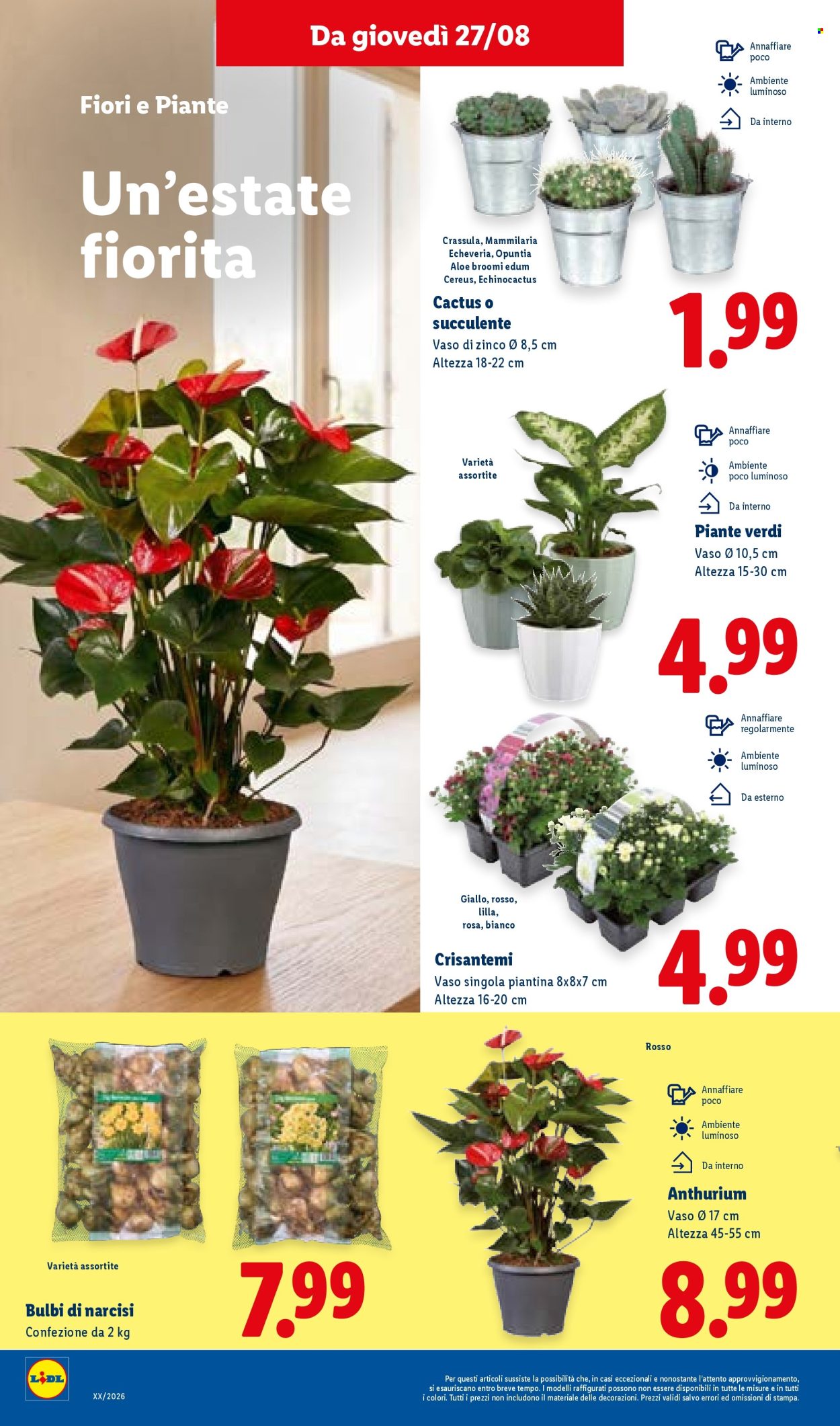 Volantino Lidl - 27/8/2026 - 2/9/2026. Pagina 32
