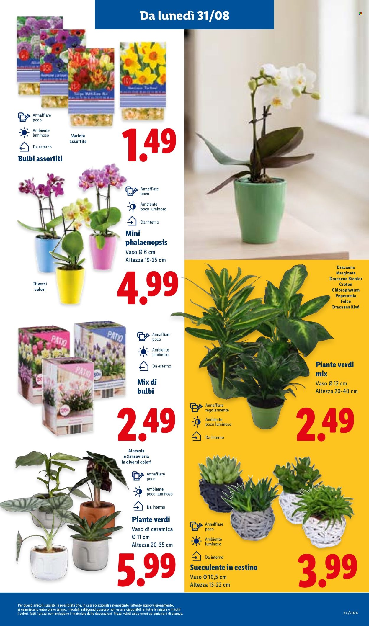 Leták Lidl - 27.8.2026 - 2.9.2026. Strana 33