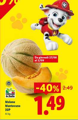 MELONE MANTOVANO IGP
