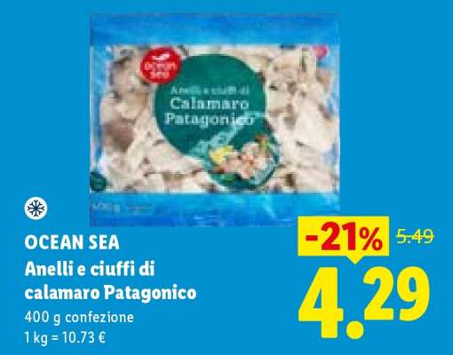 Ocean Sea Anelli e ciuffi di calamaro Patagonico