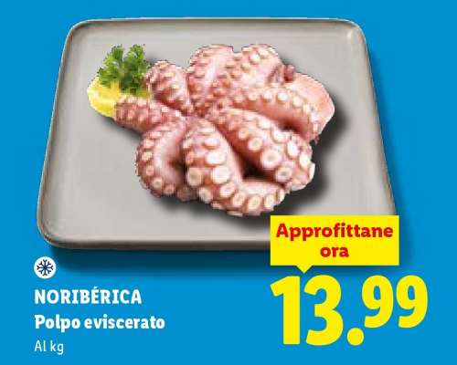 Noriberica Polpo eviscerato