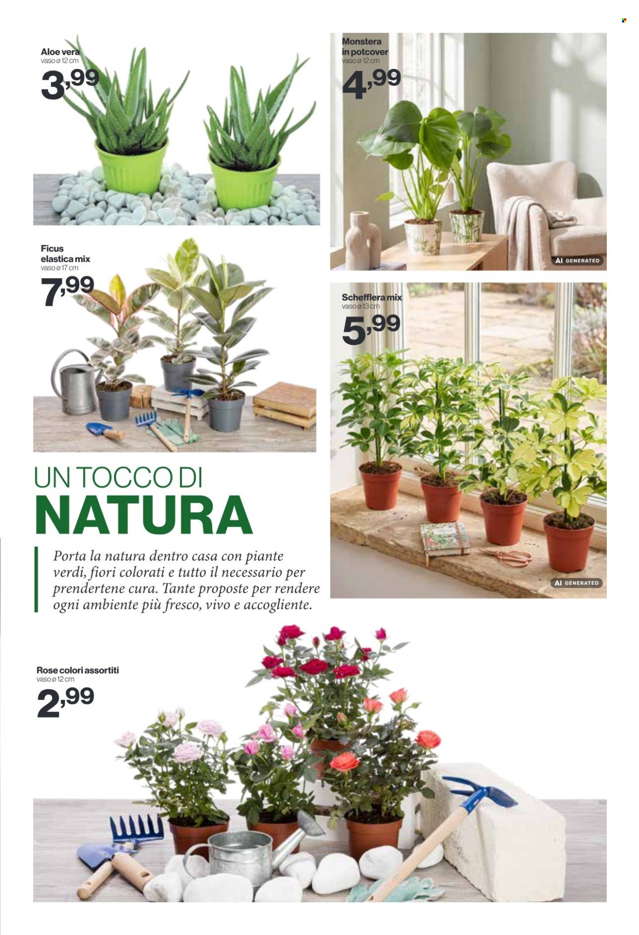 Volantino iN's Mercato - 26/8/2026 - 6/9/2026. Pagina 15