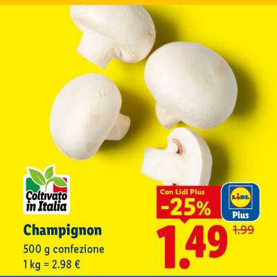 Champignon