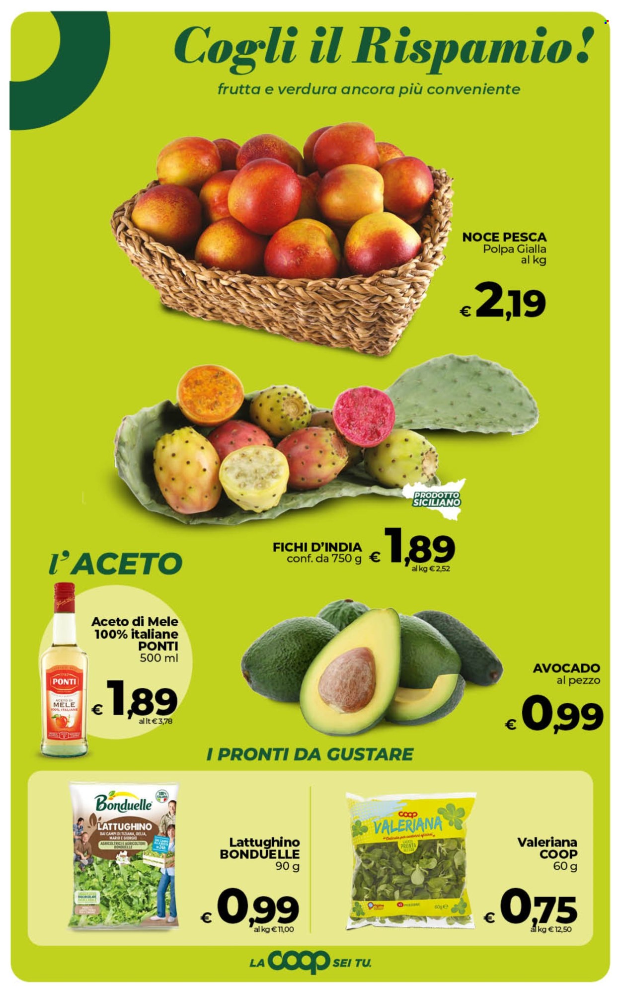 Volantino Coop - 21/8/2026 - 1/9/2026. Pagina 17
