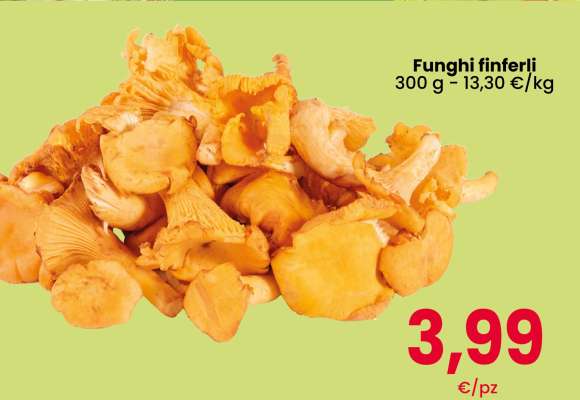 Funghi finferli