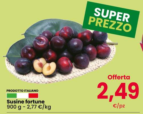 Susine fortune