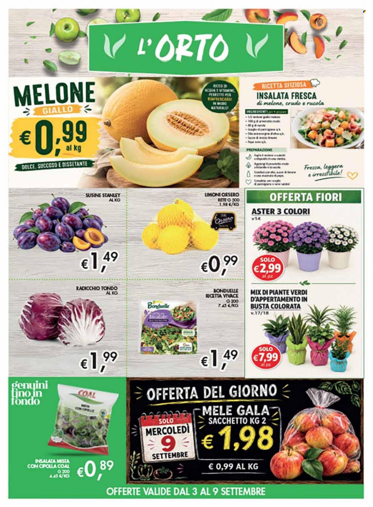 Volantino COAL - 27/8/2026 - 9/9/2026. Pagina 3