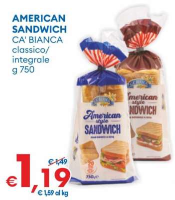 AMERICAN SANDWICH