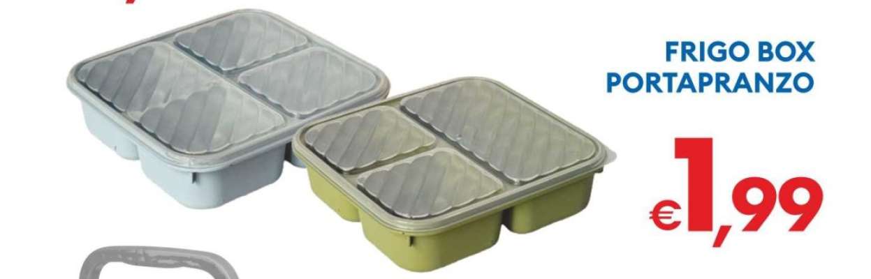 FRIGO BOX PORTAPRANZO