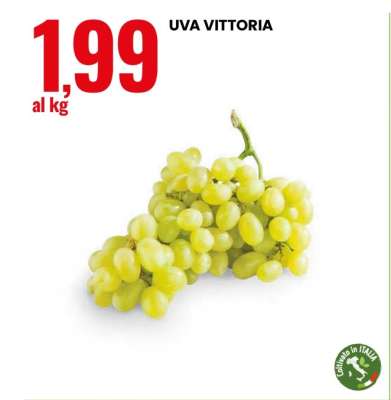 Uva Vittoria