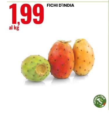 Fichi D'India
