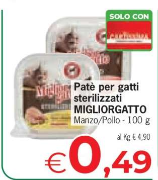 MIGLIORGATTO