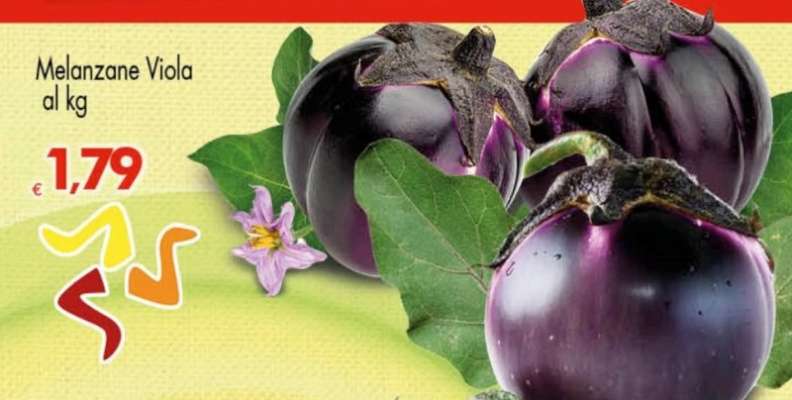 Melanzane Viola