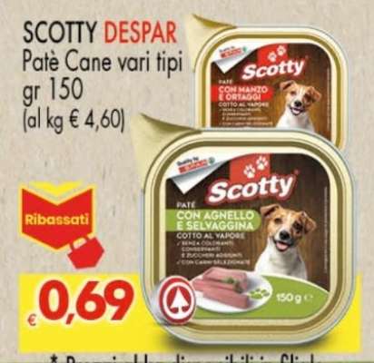 SCOTTY DESPAR