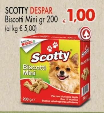 SCOTTY DESPAR