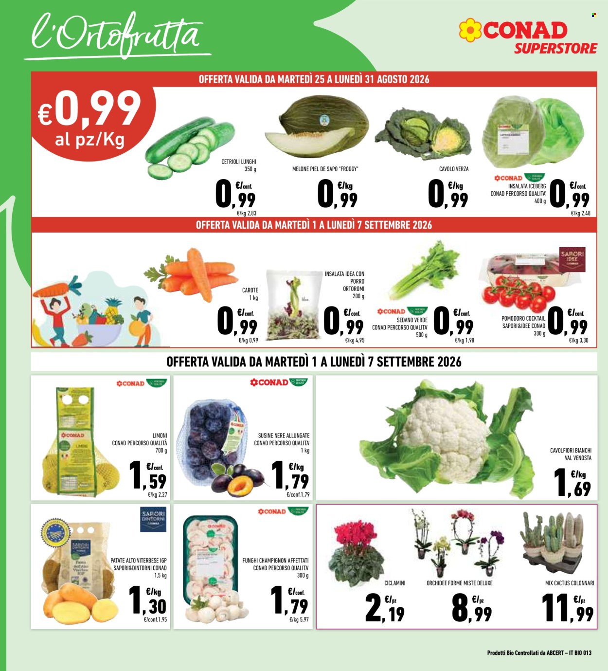 Leták Conad Superstore - 25.8.2026 - 7.9.2026. Strana 6