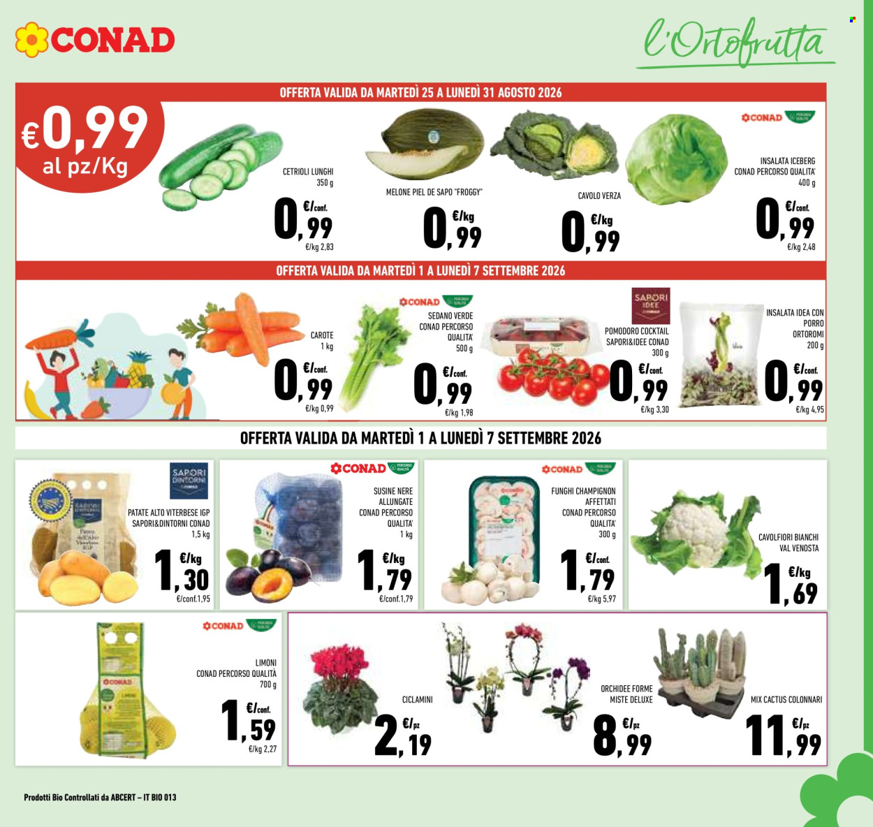Volantino Conad - 25/8/2026 - 7/9/2026. Pagina 3