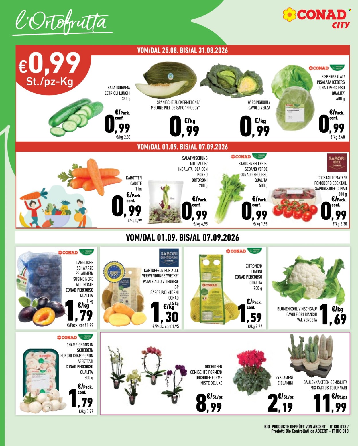 Leták Conad City - 25.8.2026 - 7.9.2026. Strana 6