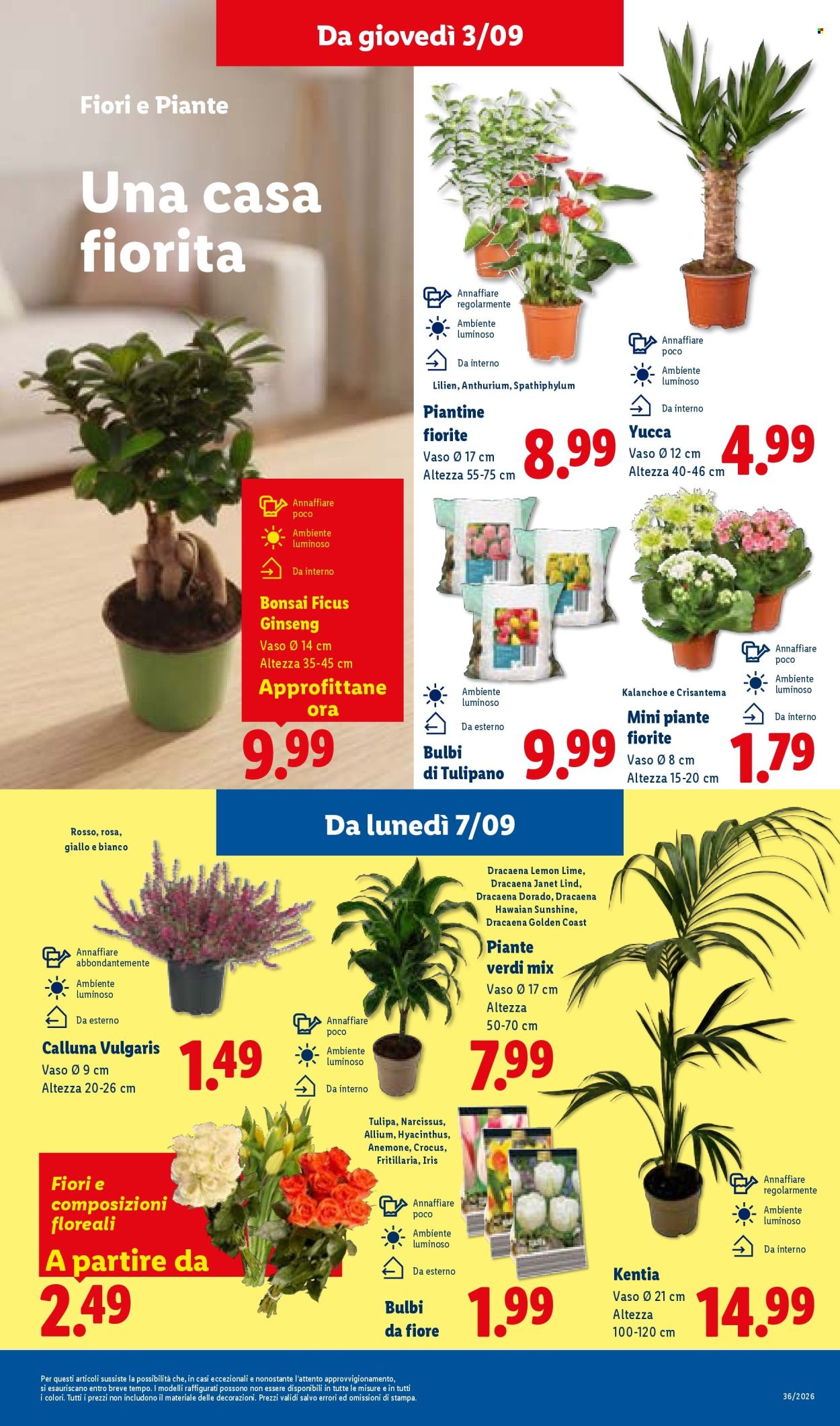 Volantino Lidl - 3/9/2026 - 9/9/2026. Pagina 11