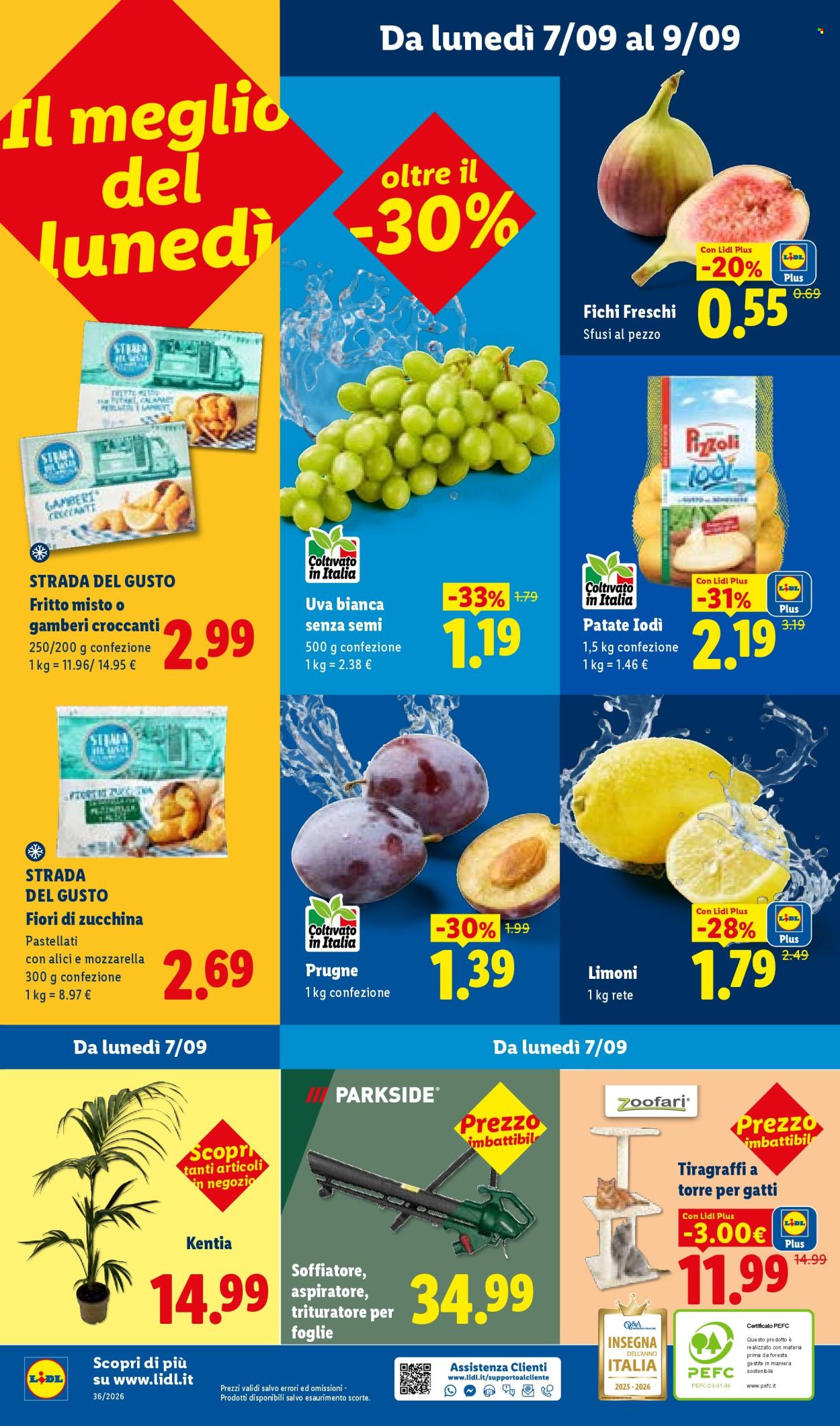 Volantino Lidl - 3/9/2026 - 9/9/2026. Pagina 46