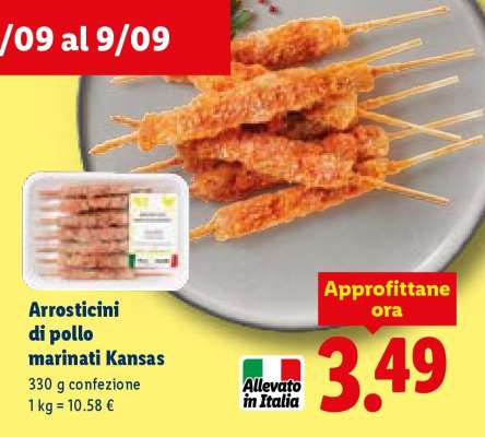Arrosticini di pollo marinati Kansas