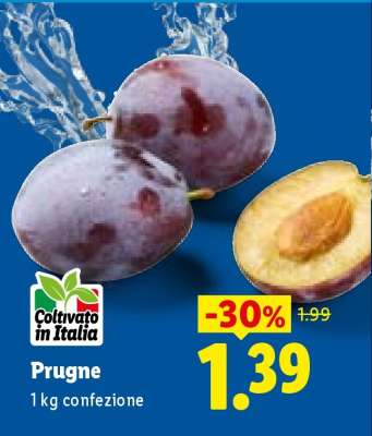 Prugne