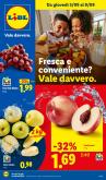 leaflet