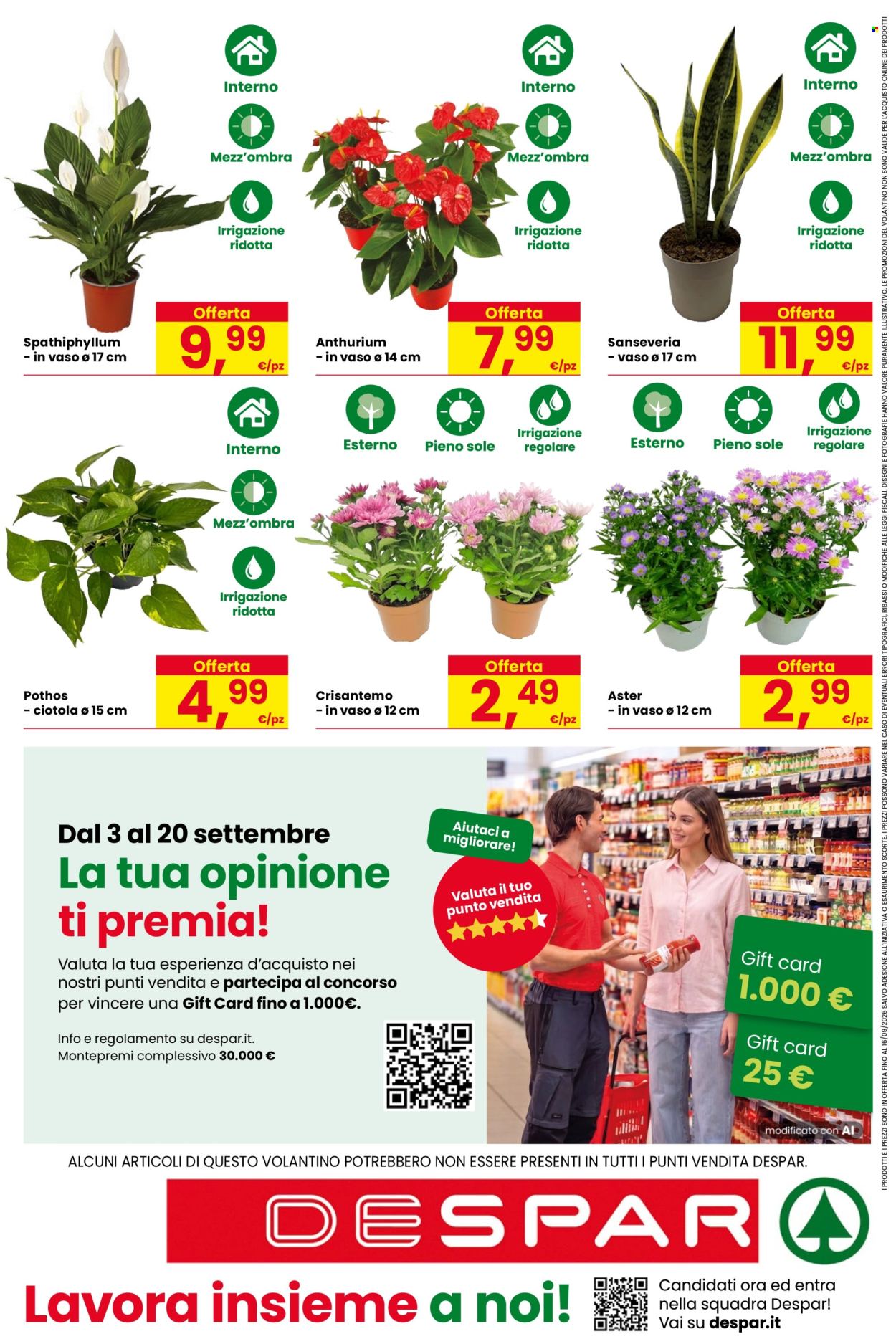 Volantino Despar - 3/9/2026 - 16/9/2026. Pagina 16