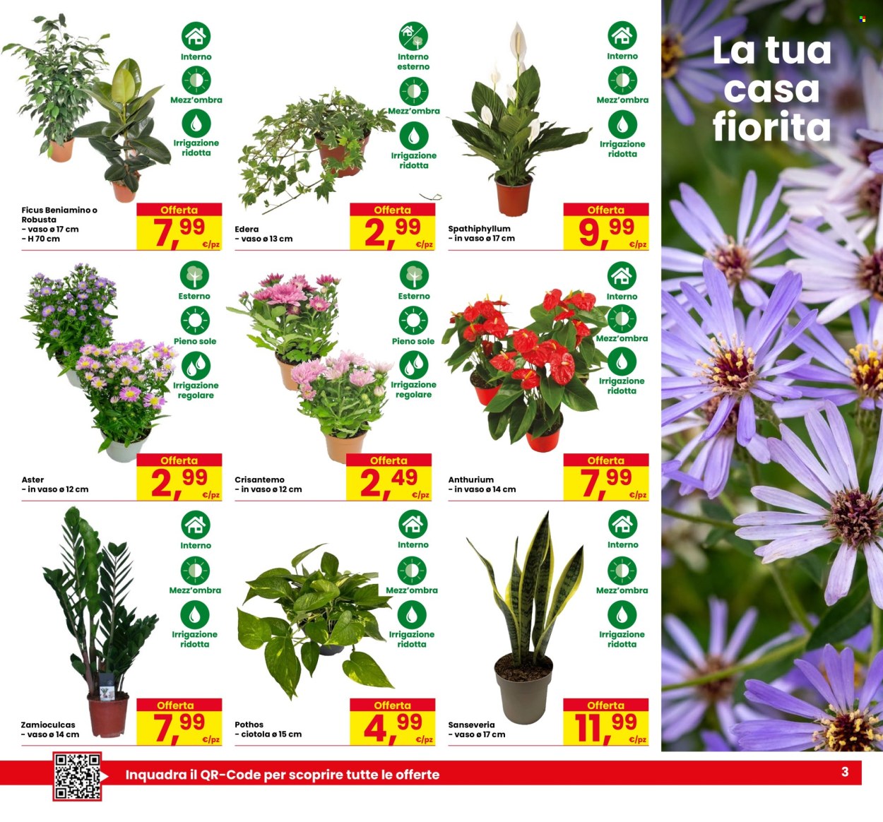 Volantino Eurospar - 3/9/2026 - 16/9/2026. Pagina 3