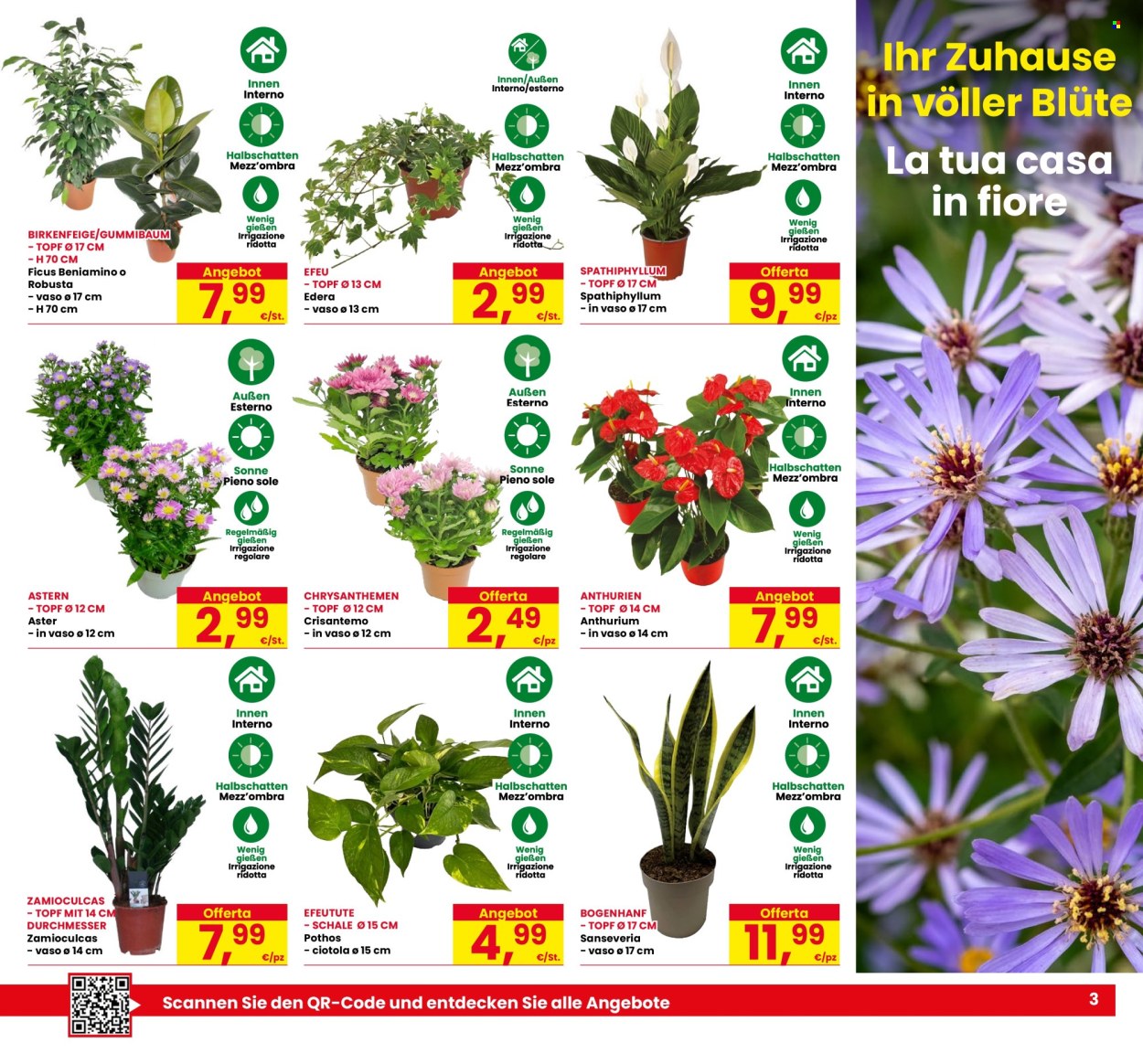 Volantino Eurospar - 3/9/2026 - 16/9/2026. Pagina 3
