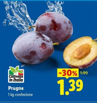 Prugne