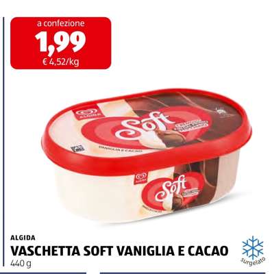 ALGIDA VASCHETTA SOFT VANIGLIA E CACAO