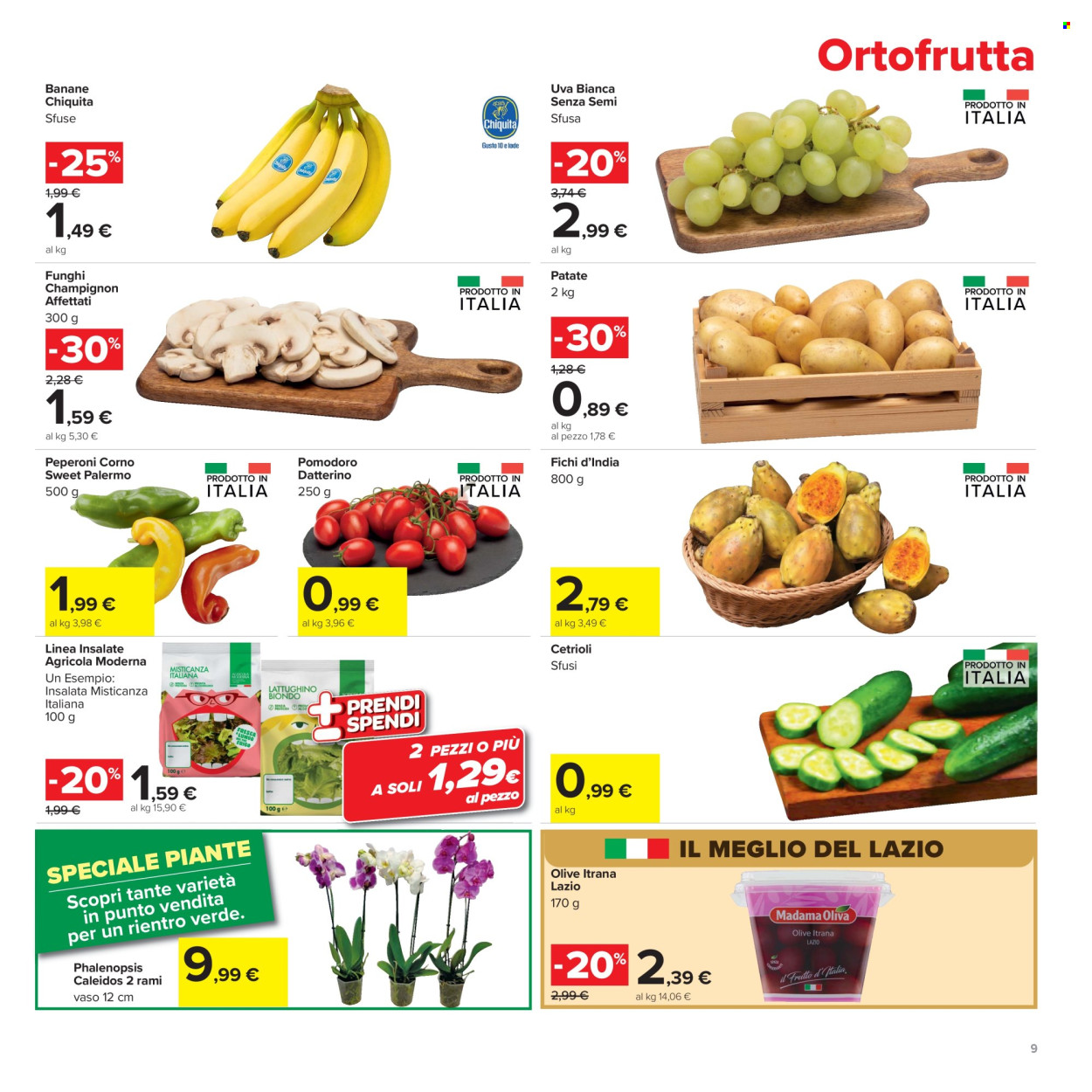 Volantino Carrefour - 4/9/2026 - 13/9/2026. Pagina 9