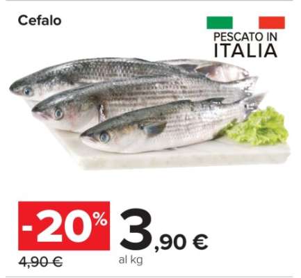 CEFALO