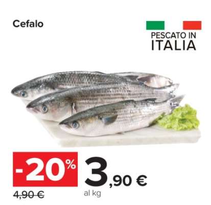 CEFALO
