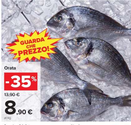 Orata
