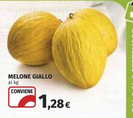 Melone Giallo