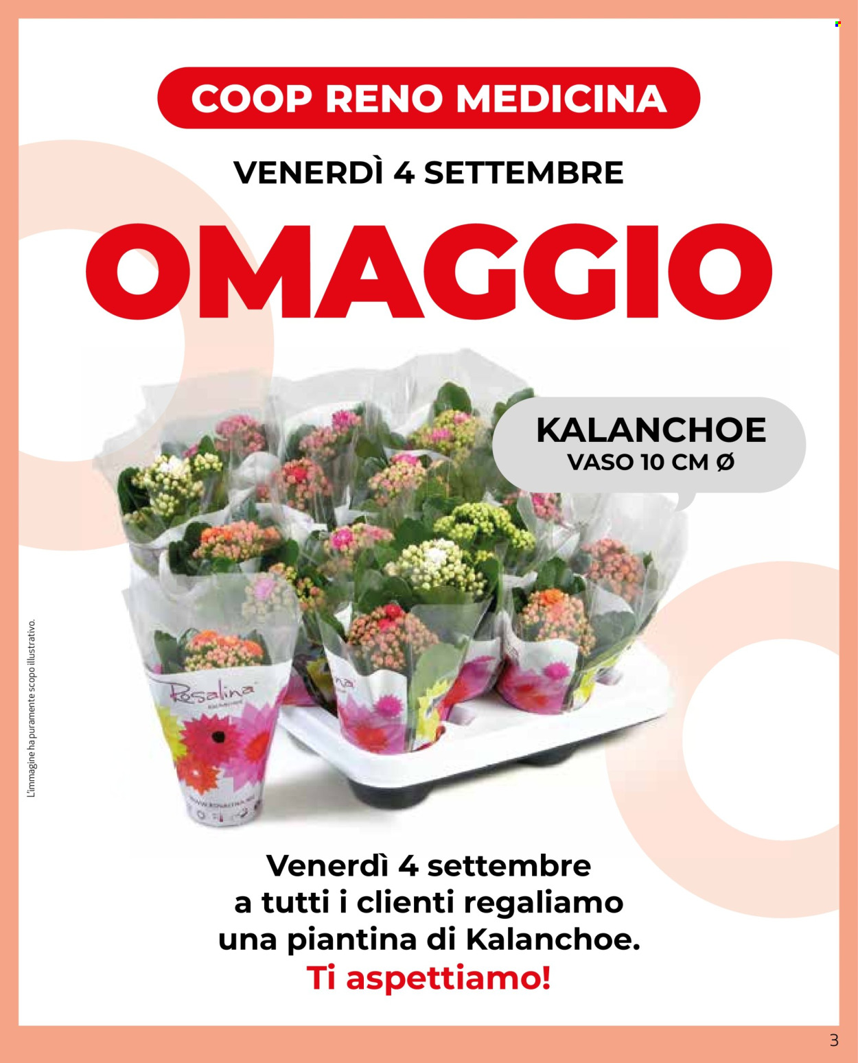 Volantino Coop - 3/9/2026 - 9/9/2026. Pagina 3