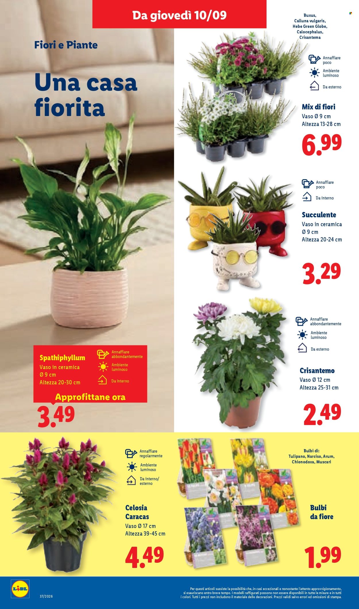 Volantino Lidl - 10/9/2026 - 16/9/2026. Pagina 46