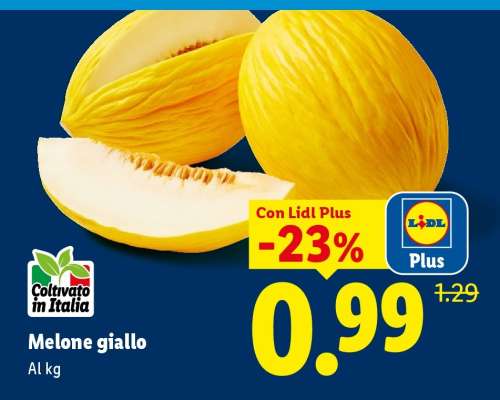 Melone Giallo