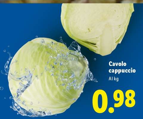 Cavolo Cappuccio
