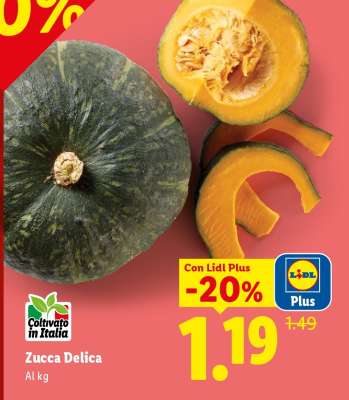 Zucca Delica
