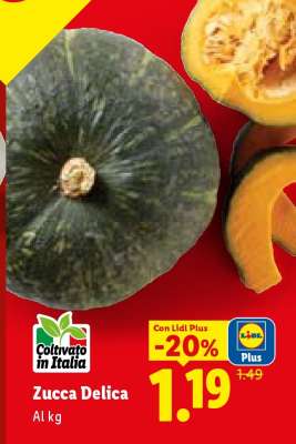 Zucca Delica