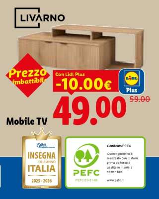 Mobile TV