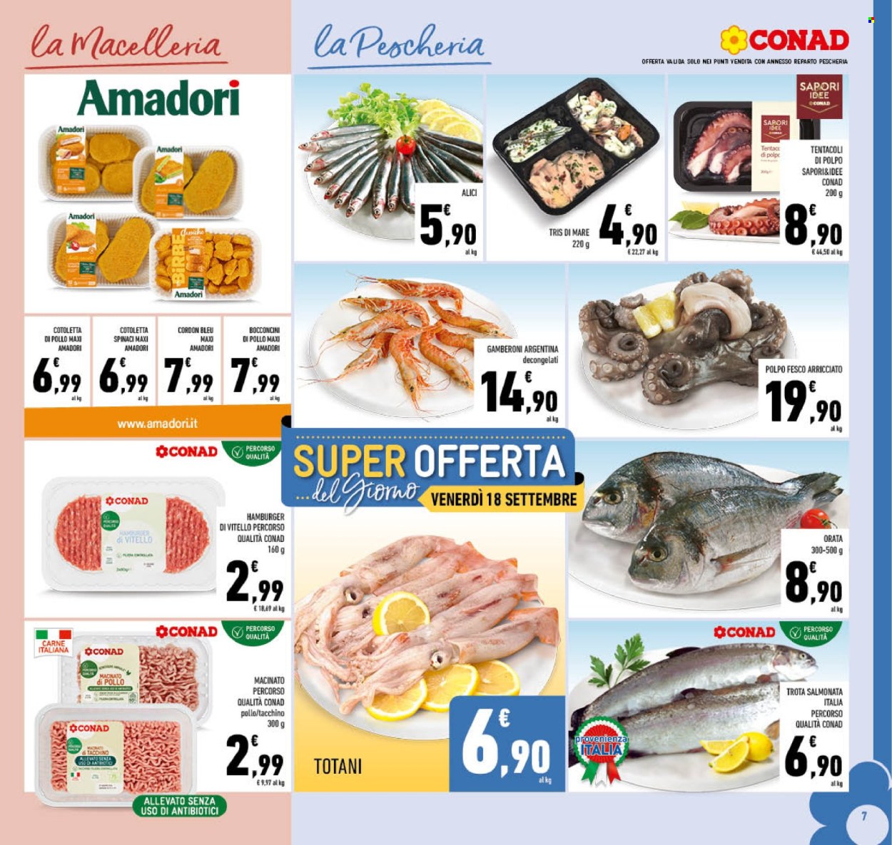 Volantino Conad - 9/9/2026 - 20/9/2026. Pagina 7
