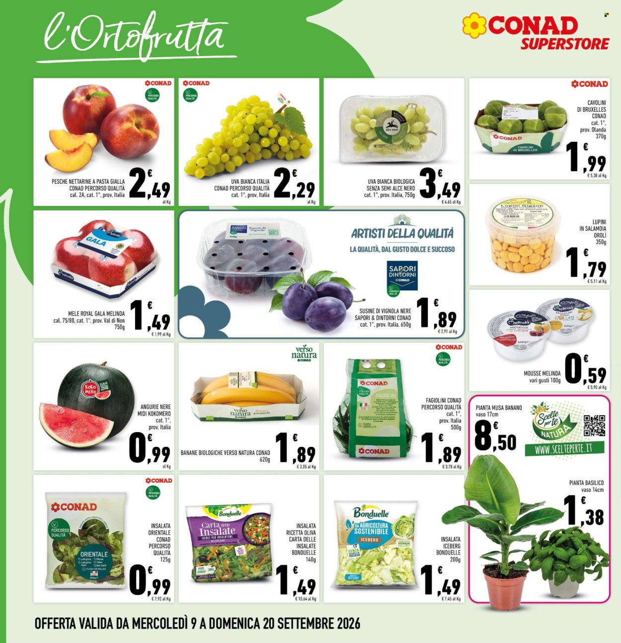 Volantino Conad Superstore - 9/9/2026 - 20/9/2026. Pagina 4